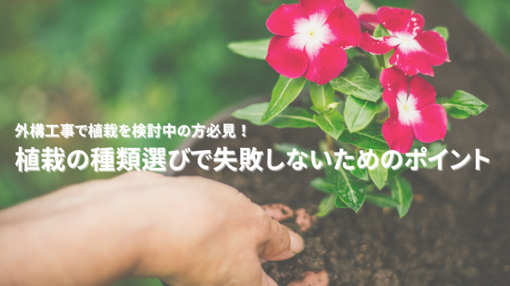 外構工事で植栽を検討中の方必見！植栽の種類選びで失敗しないためのポイント